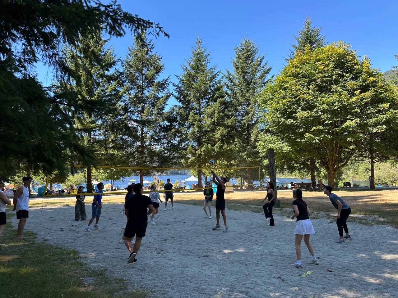group-volleybal